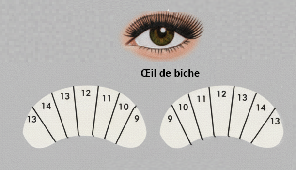 Doe Eye